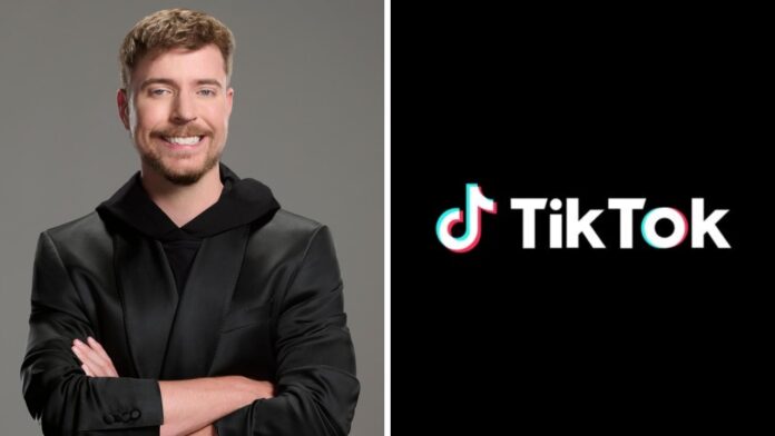 MrBeast ja TikTok. MrBeast mukana TikTok-kaupoissa!